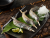 柳葉魚批發