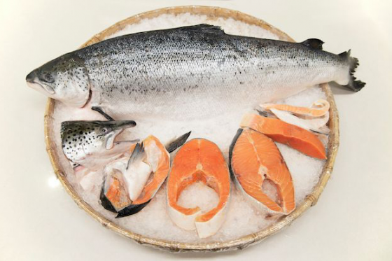 【早安健康】烏俄戰火掀鮭魚荒？海鮮職人：買之前務必注意這4項