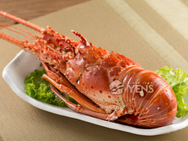 龍蝦(生/熟)Lobste (Raw/Cooked)