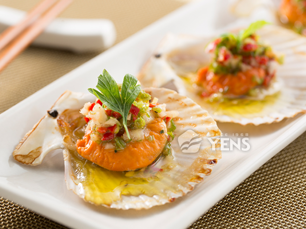 錢龜半殼櫛孔貝