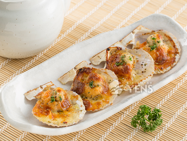 錢龜半殼櫛孔貝