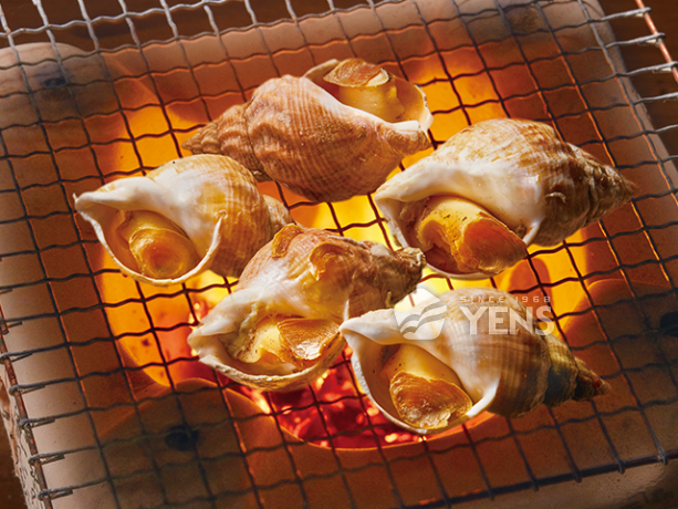 海螺Whelk