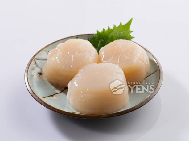 日本干貝Japanese Scallop Meat