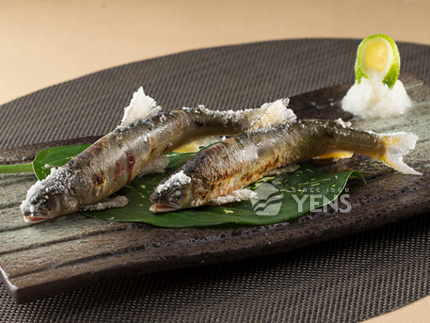 香魚Ayu (Sweetfish)
