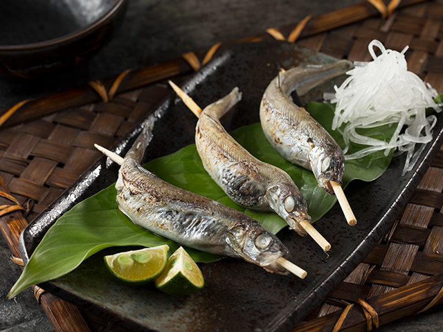 毛鱗魚<P>Female Capelin