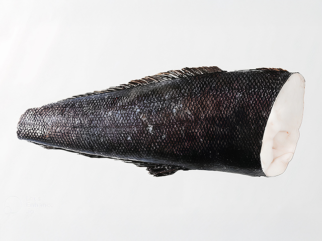 犬牙南極魚原料(美露鱈/圓鱈)<p>Toothfish