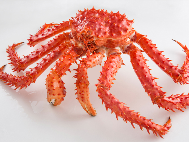 Whole Cooked/Raw King Crab