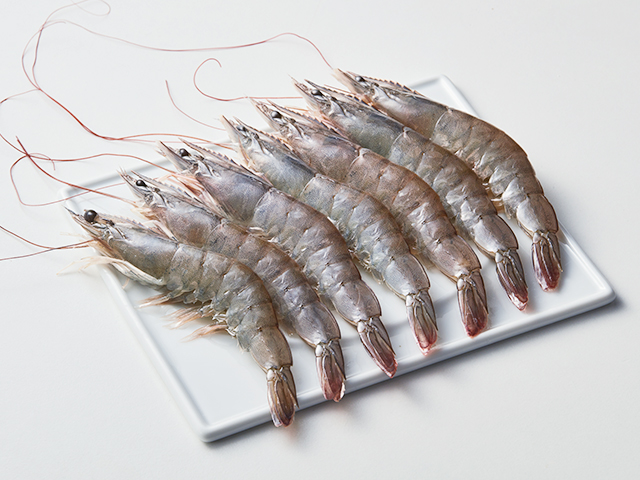 中南美白蝦(純重)<P>Raw/Cooked Vannamei Shrimp (Central America)
