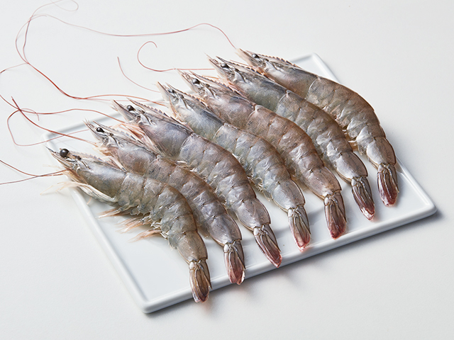 Raw/Cooked Vannamei Shrimp (Central America)