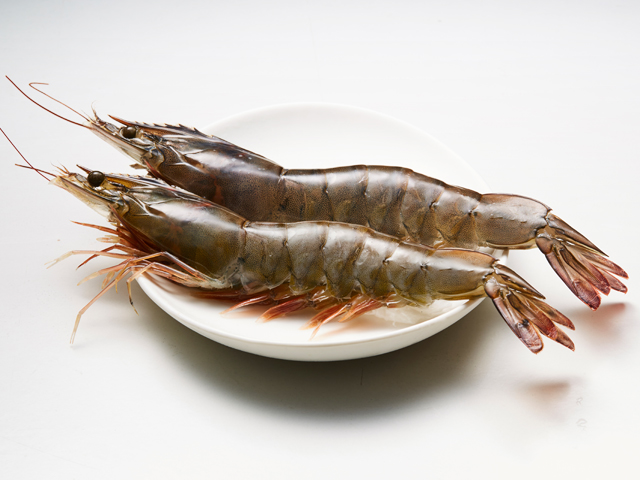 Raw/Cooked Vannamei Shrimp (Southeast Asia)