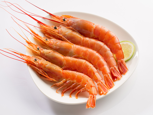 Argentine Red Shrimp