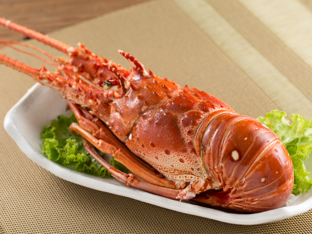 龍蝦(生/熟)<P>Lobster (Raw/Cooked)