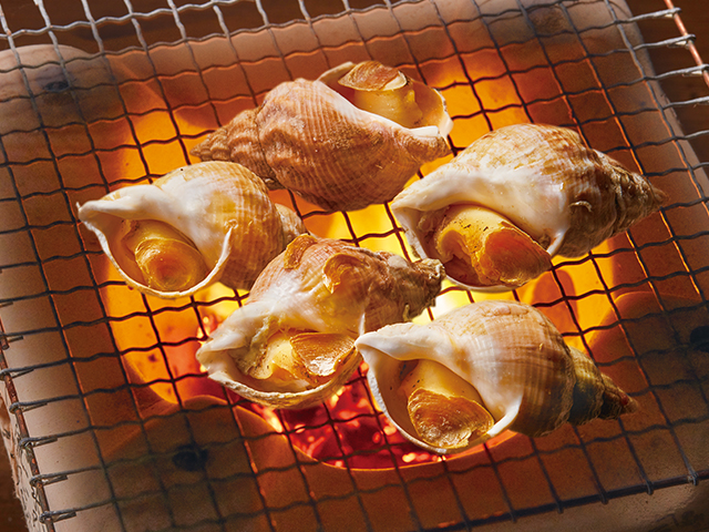 Cooked Whelk