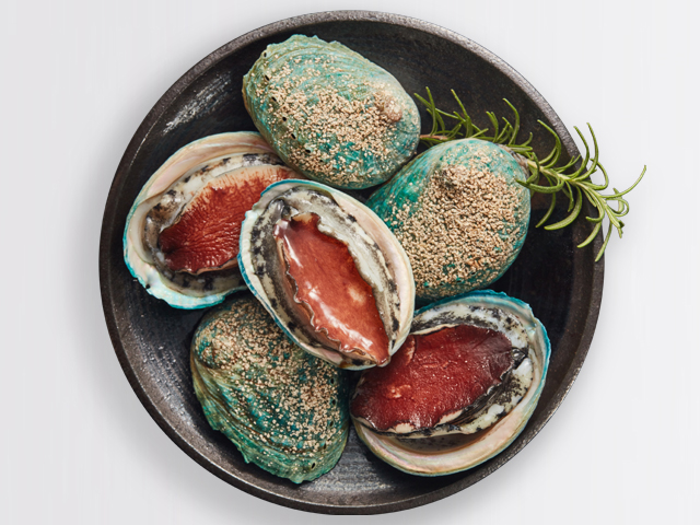 Ausralian Abalone