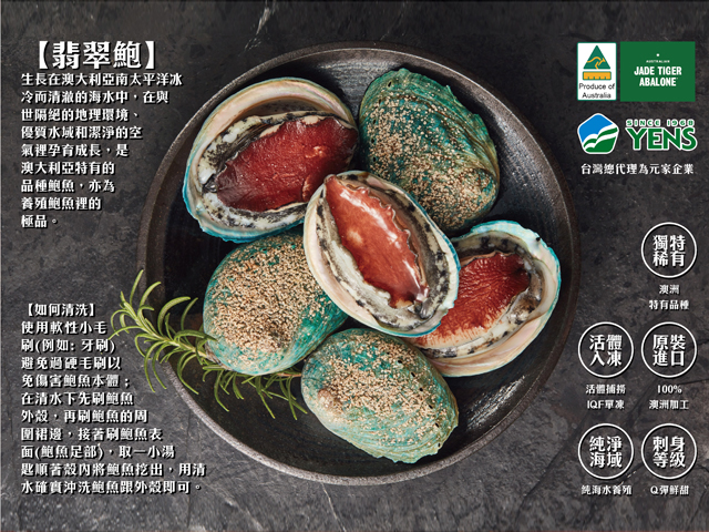 澳洲翡翠鮑<P>Australian  Abalone