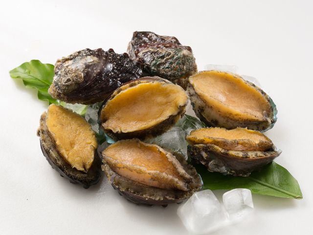 鮑魚<P>Whole-cooked Abalone