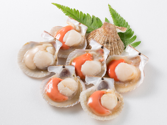 半殼櫛孔貝<P>Half Shell Scallop