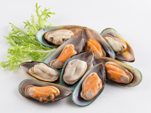 紐西蘭半殻淡菜<P>New Zealand Half Shell Mussel