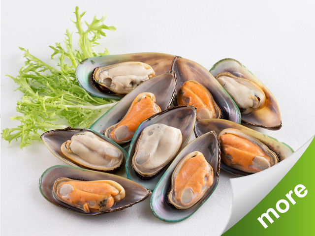 Shell Mussel