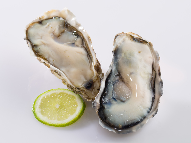 半殻生蠔<P>Half Shell Oyster