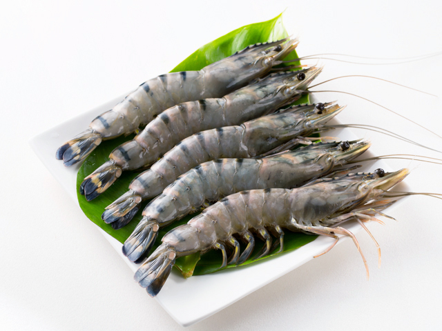 活凍黑虎蝦(草蝦)<P>Live Frozen Black Tiger Shrimp