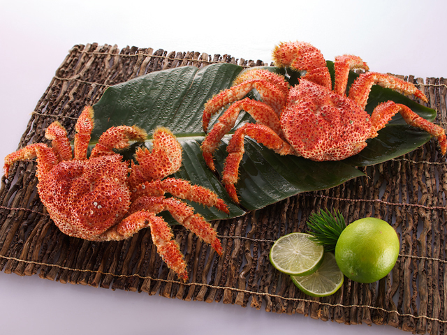 Chilean Snow Crab