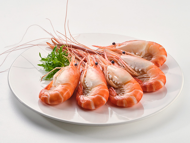 Giant Freshwater Prawn
