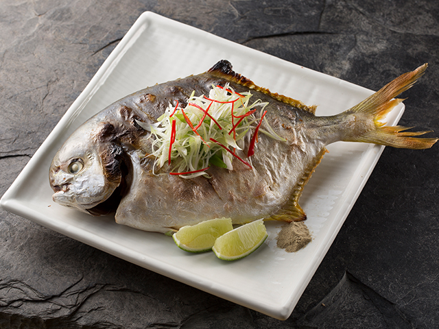 金鯧魚(黃金鯧)<P>Frozen Pompano Fish