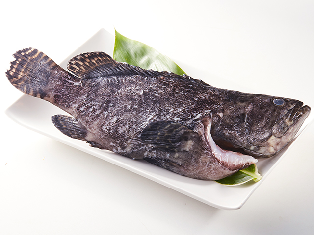 龍虎班(三去)<p>Pearl Grouper<span>膠質豐富、肉質Q彈</span>