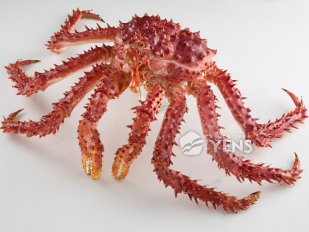 SNOWLAND Raw King Crab