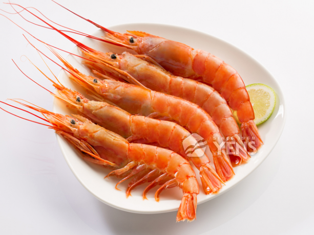 Argentine Red Shrimp