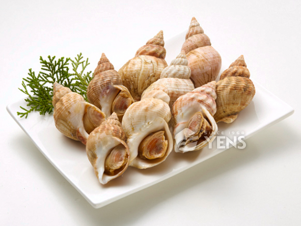 Whelk