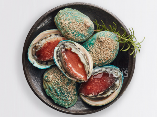 澳洲翡翠鮑Ausralian Abalone