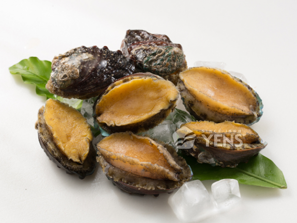 Whole-cooked Abalone