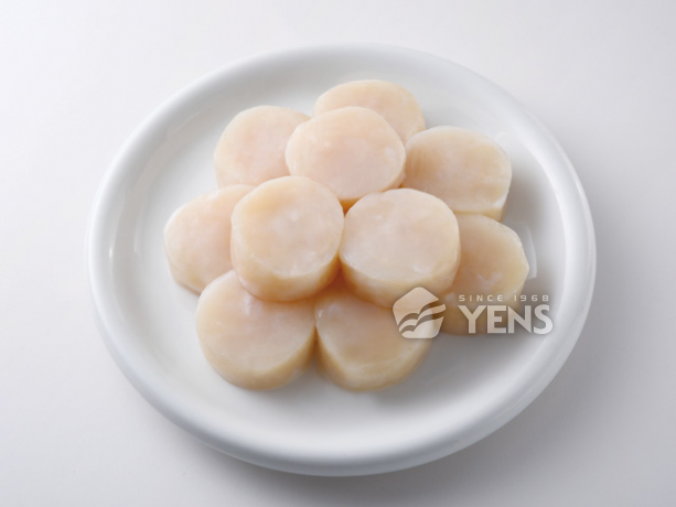 Frozen Scallop Meat