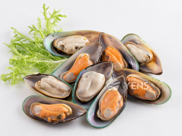 New Zealand Half Shell Mussel