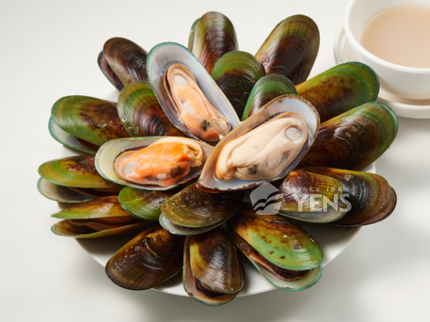 Cooked Whole Shell Mussel