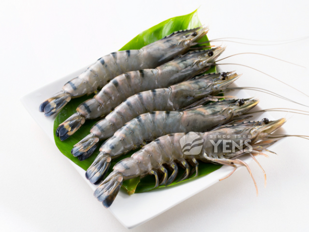 活凍黑虎蝦(草蝦)<P>Live Frozen Black Tiger Shrimp