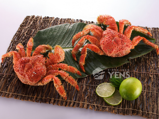 Chilean Snow Crab