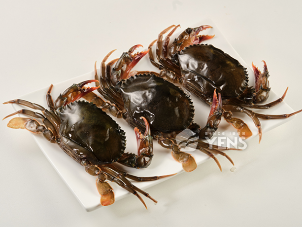 Softshell Crab