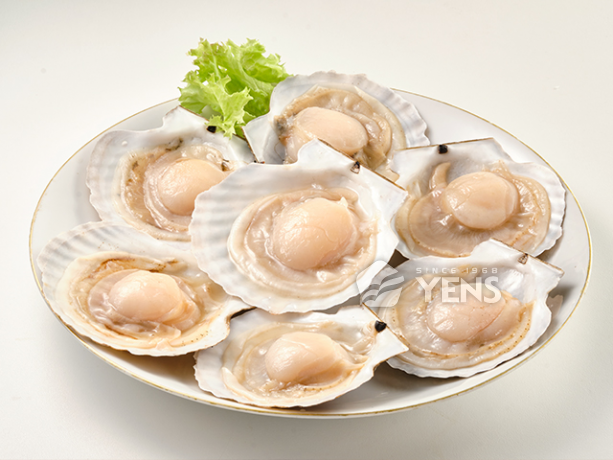 半殼扇貝(無卵)<p>Half-Shell Scallop