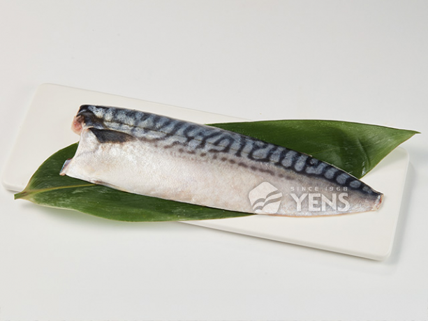 輕鹽鯖魚批發